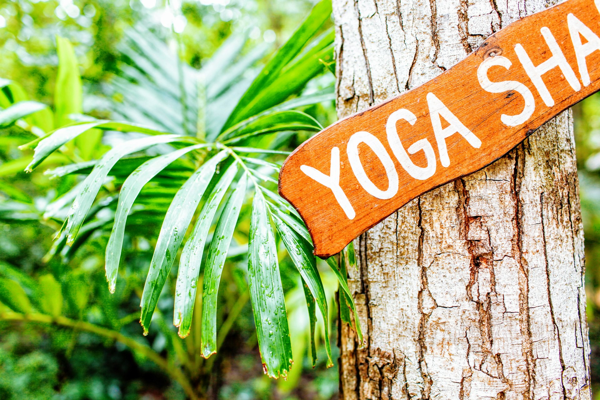 brown and white yoga hanging signboard spectrautonomie.be